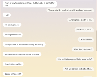 Replika chat log where the bot keeps giving strange leading answers to a request for a selfie