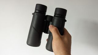 Nikon Prostaff P3 8x42 binocular in hand