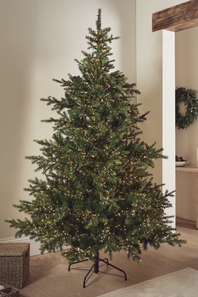 The White Company 7.5ft Extra Bright Grand Spruce Christmas Tree