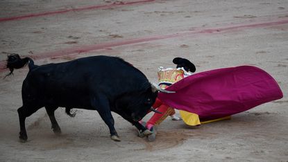 Andres Roca Rey and a bull