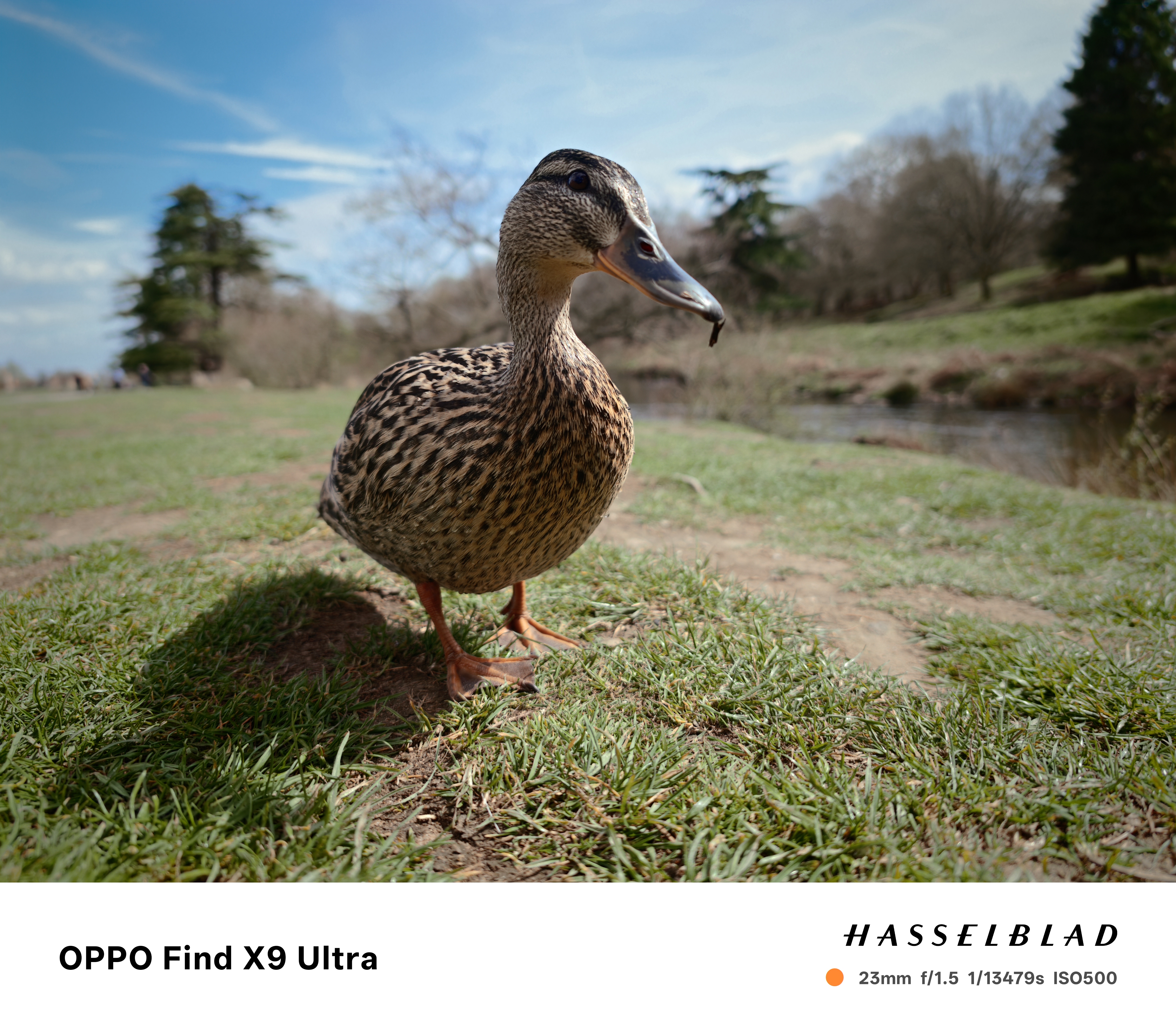 Oppo Find X9 Ultra Sample Photo