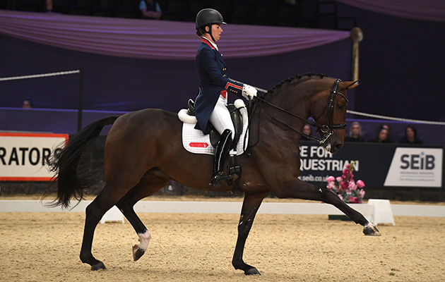 Horse of the Year Show 05 10 2017