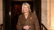 picture of Martha at the 2025 Library Lions gala at New York Public Library