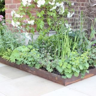 Raised beds in borders at RHS Chelsea Flower Show 2024