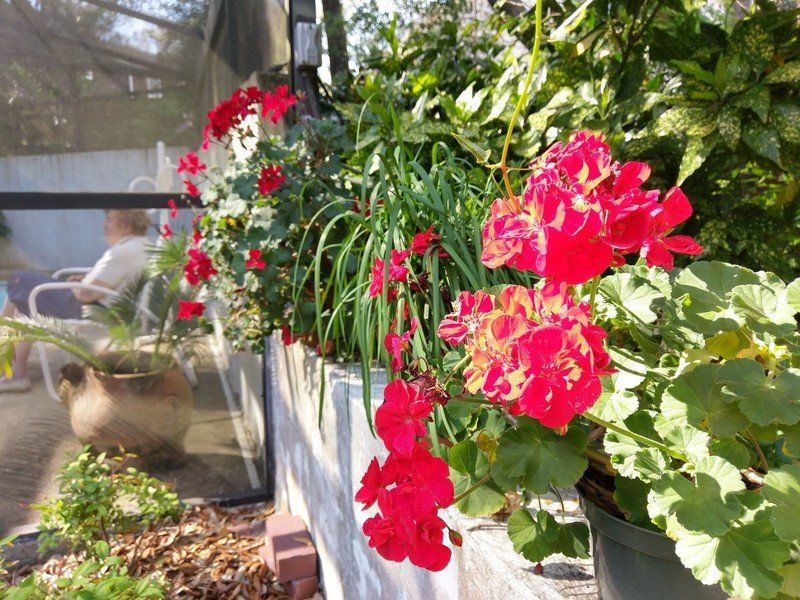 HTC 10 photo sample