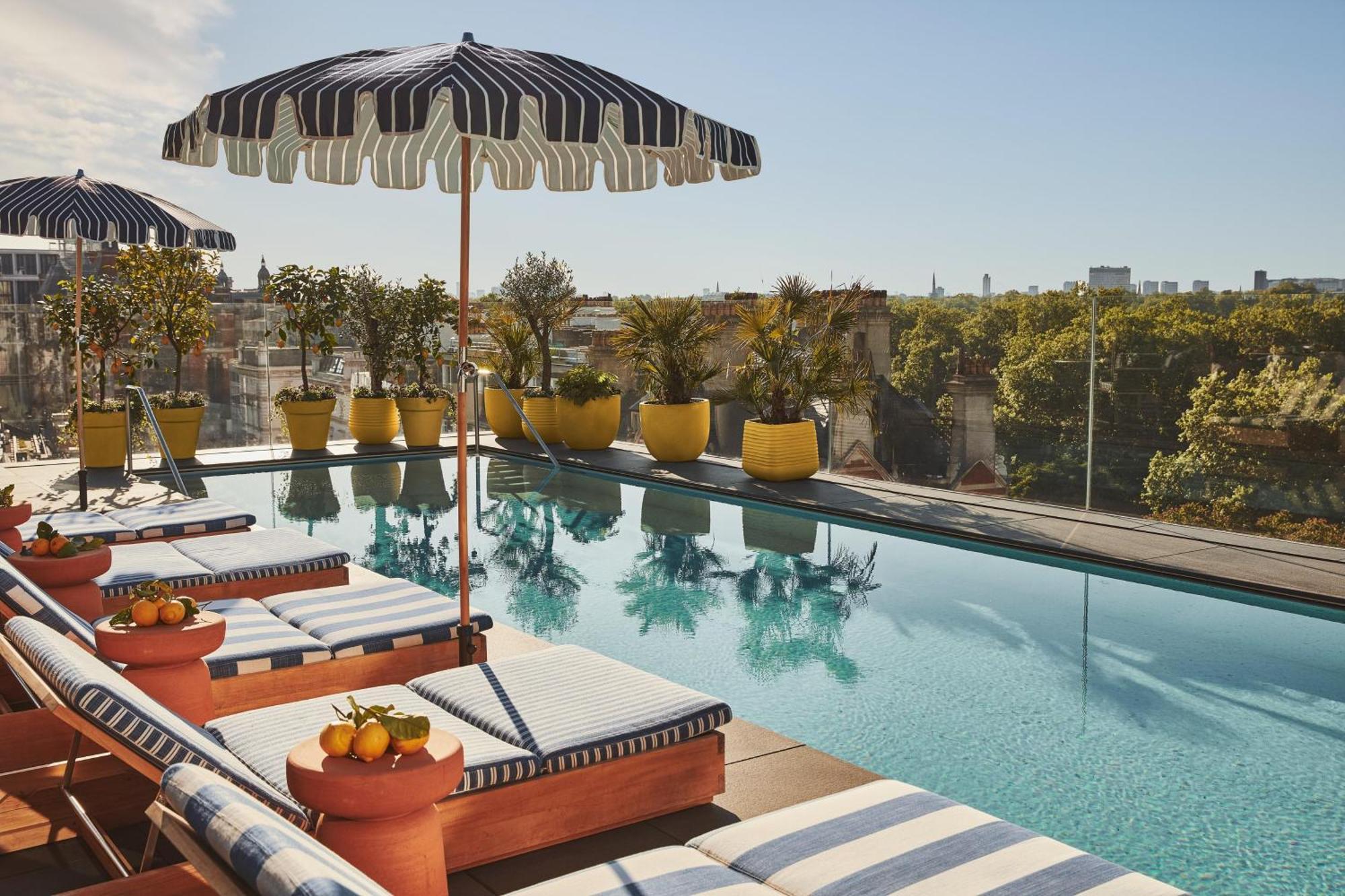 A sunshine-filled rooftop terrace with a crystal-clear long rectangular pool, stripy loungers in blue and white fabric and wood, and yellow vases filled with palm trees.