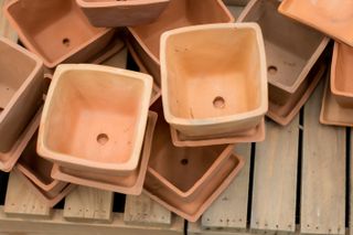 square terracotta plant pots with drainage holes