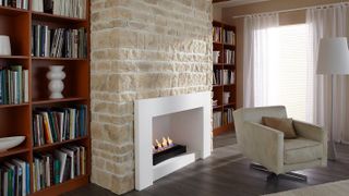 bioethanol fireplace in contemporary living room