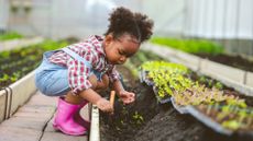 Child planting small green plants into a bed of soil in a garden with a trowel