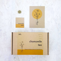 9. Grow Your Own Chamomile Seed Kit: