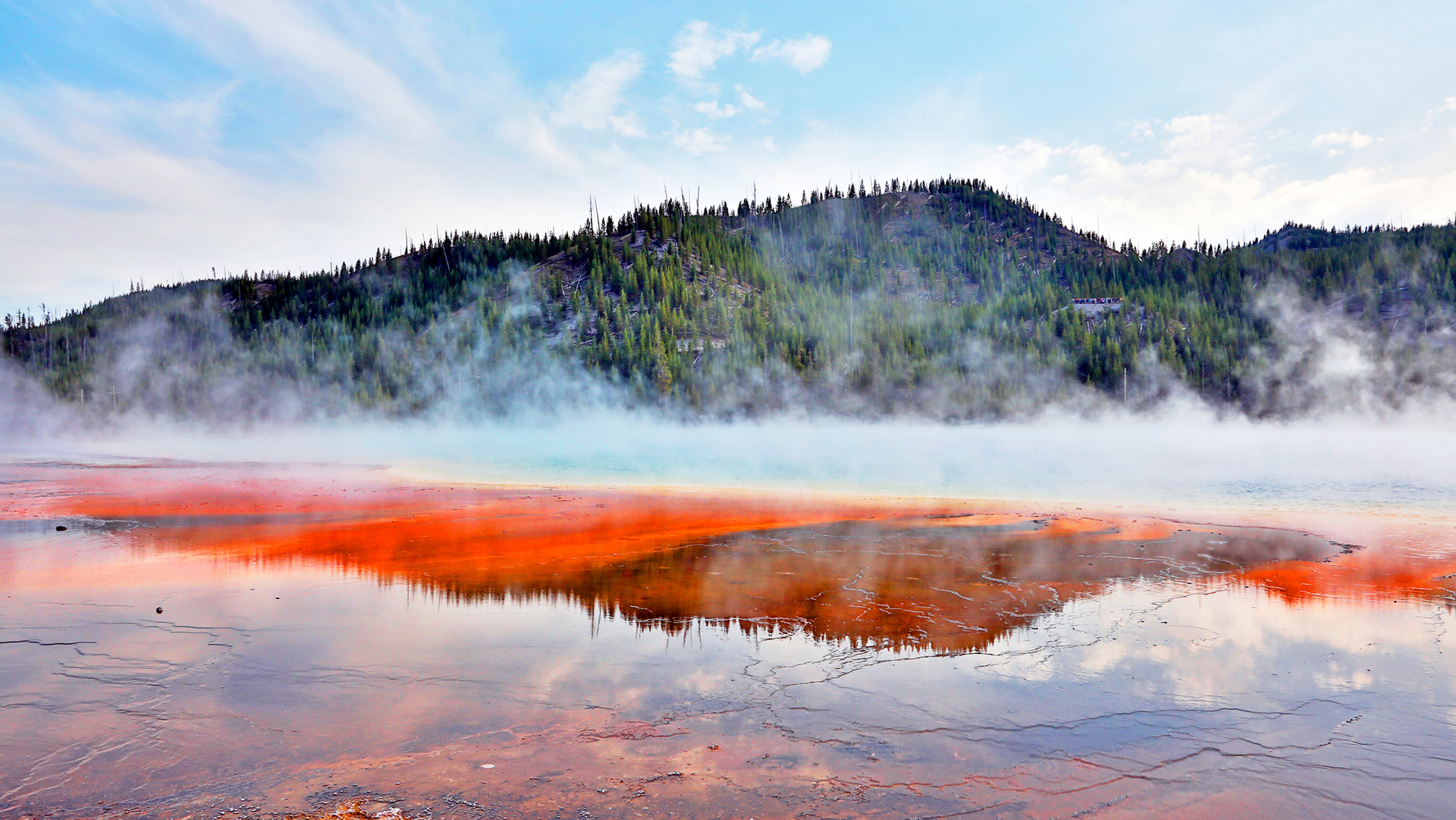 A view of Yellowstone with red lava in the front of a forest.