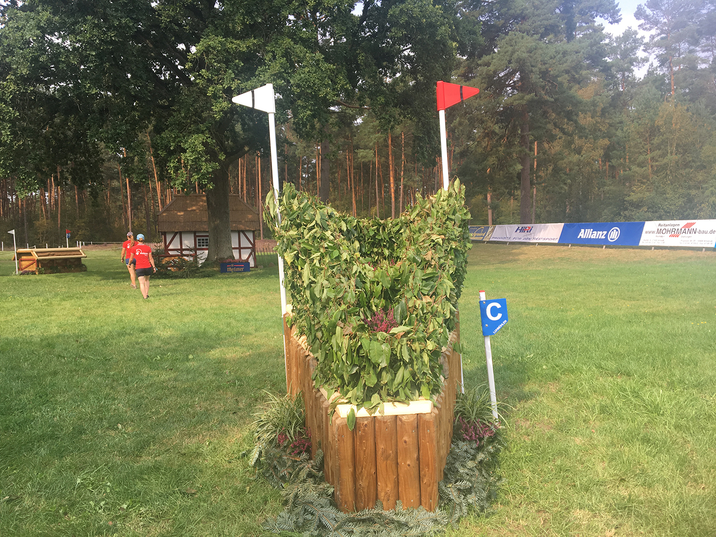 Fence 12c European Eventing Championships 2019
