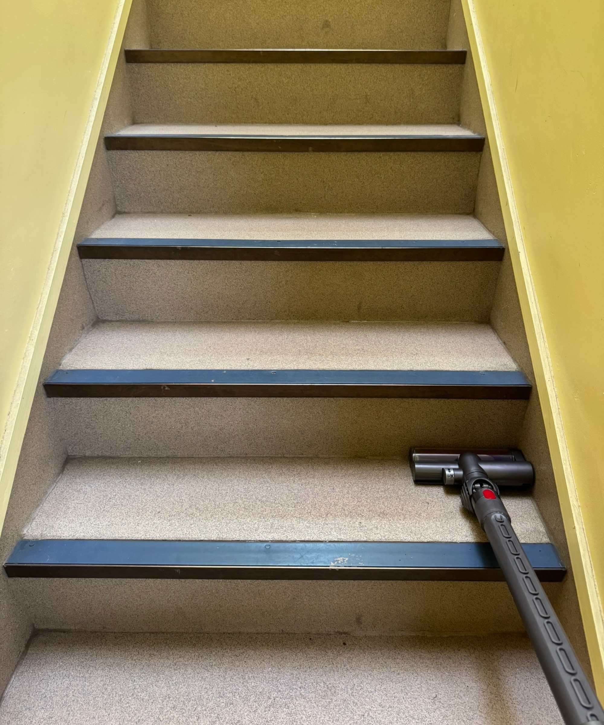 Dyson Big Ball Turbinehead vacuuming stairs in Bristol ARC.