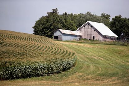 Farm in Iowa threatened by Trump tariffs.