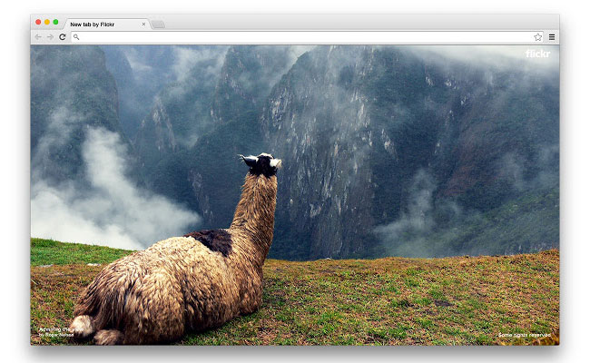 Google Chrome extensions - Flickr Tab