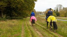 Two horse riders hacking horses on bridleway wearing hi-viz