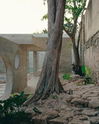 Sculptural concrete unifies the 80m long site