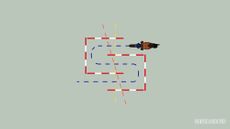 horse training maze exercise to improve suppleness