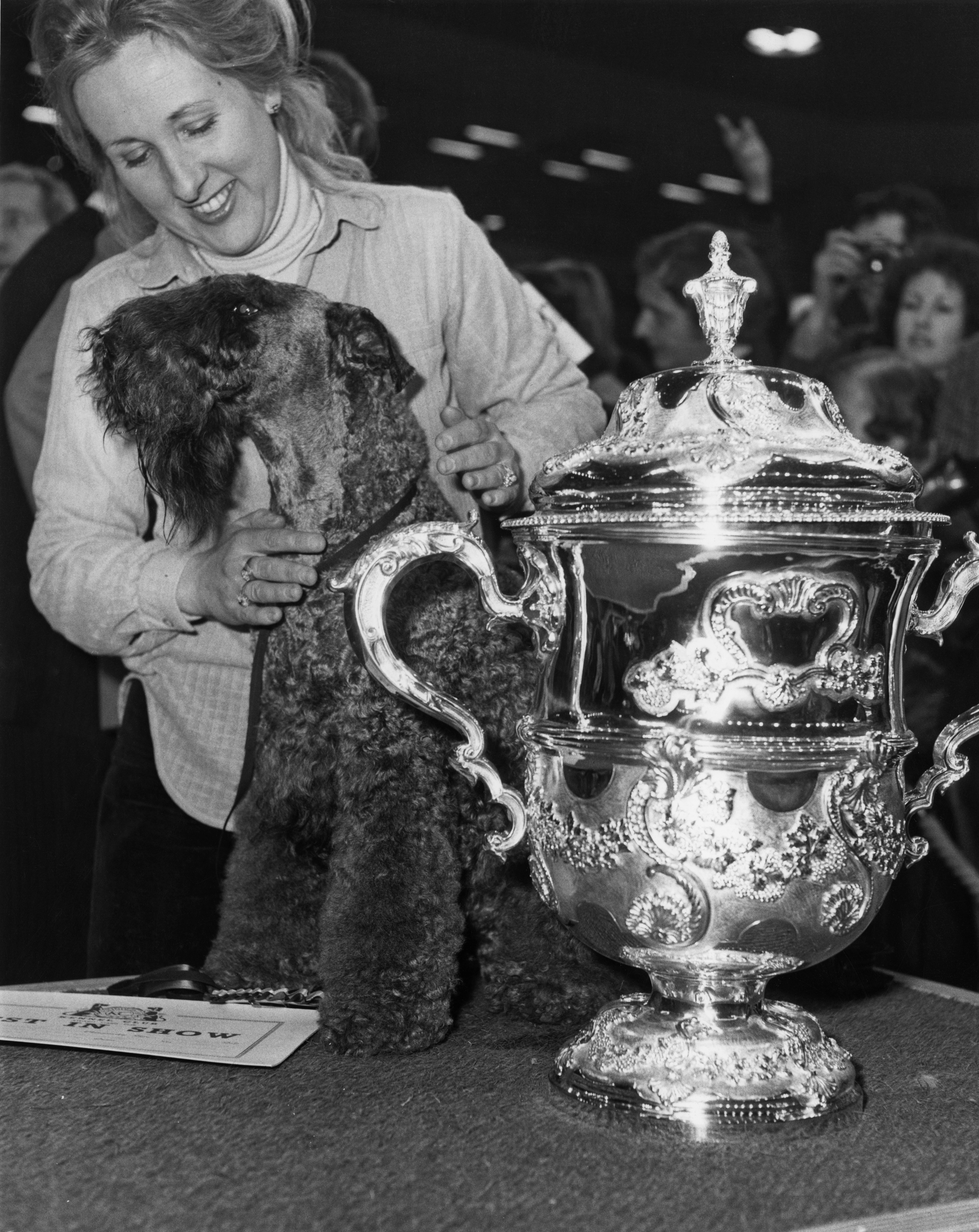 A woman smiles as she steadies a kerry blue terrier beside a large ornate silver trophy at a dog show, with photographers and spectators blurred in the background.