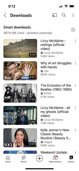 Smart Downloads, available for YouTube Premium members, for watching videos without a connection.