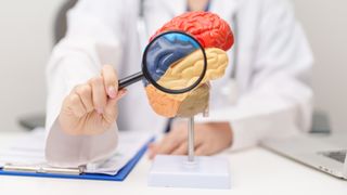 world brain day