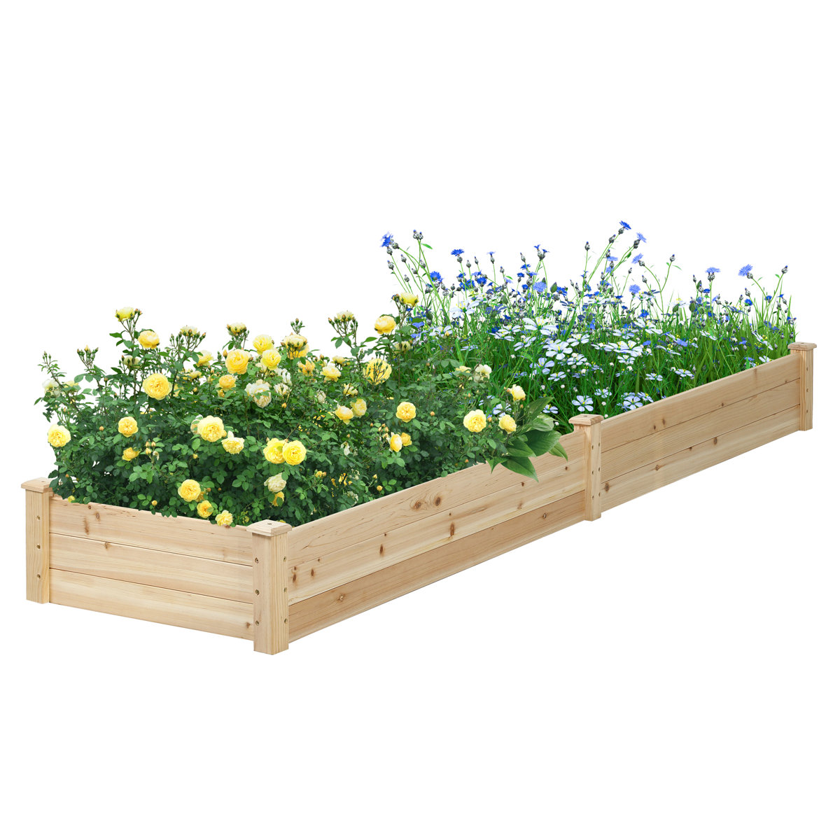 Loon Peak&amp;reg; Mclawhorn 8 Ft X 2 Ft Wood Raised Garden Bed &amp;amp; Reviews | Wayfair