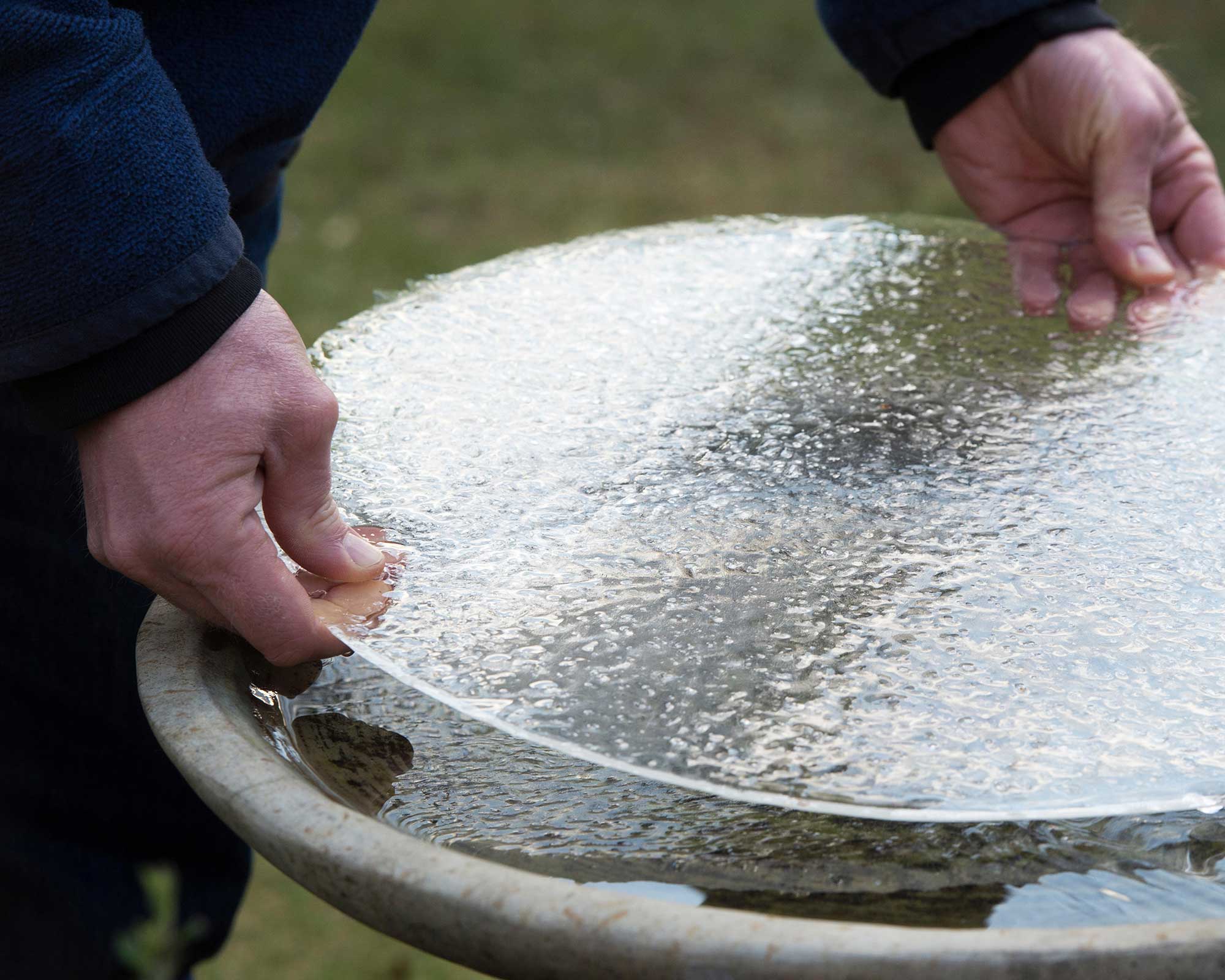 Bird bath winter care top tips for your backyard Gardeningetc