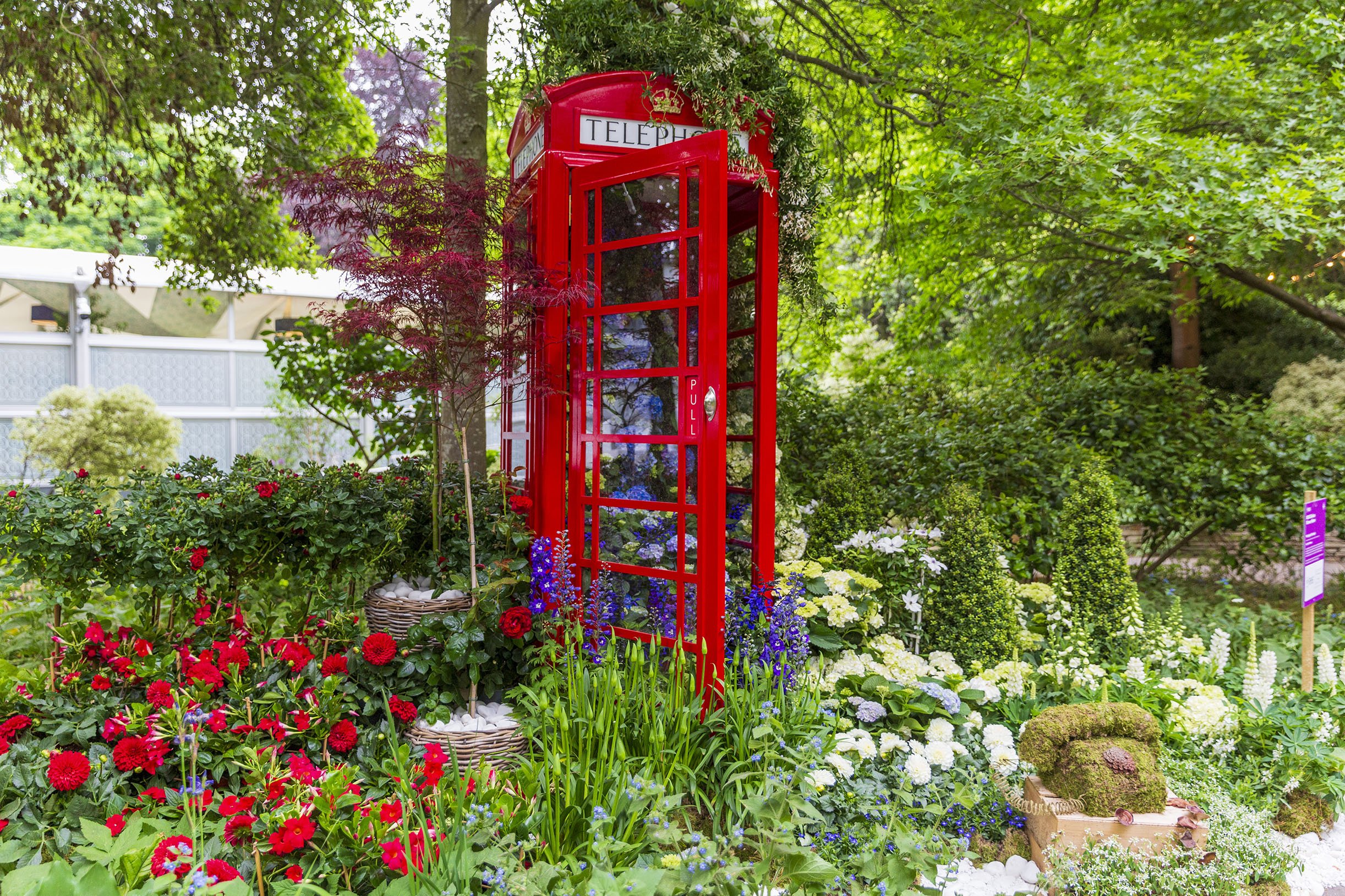 Phone box among flowers at RHS Chelsea Flower Show 2025
