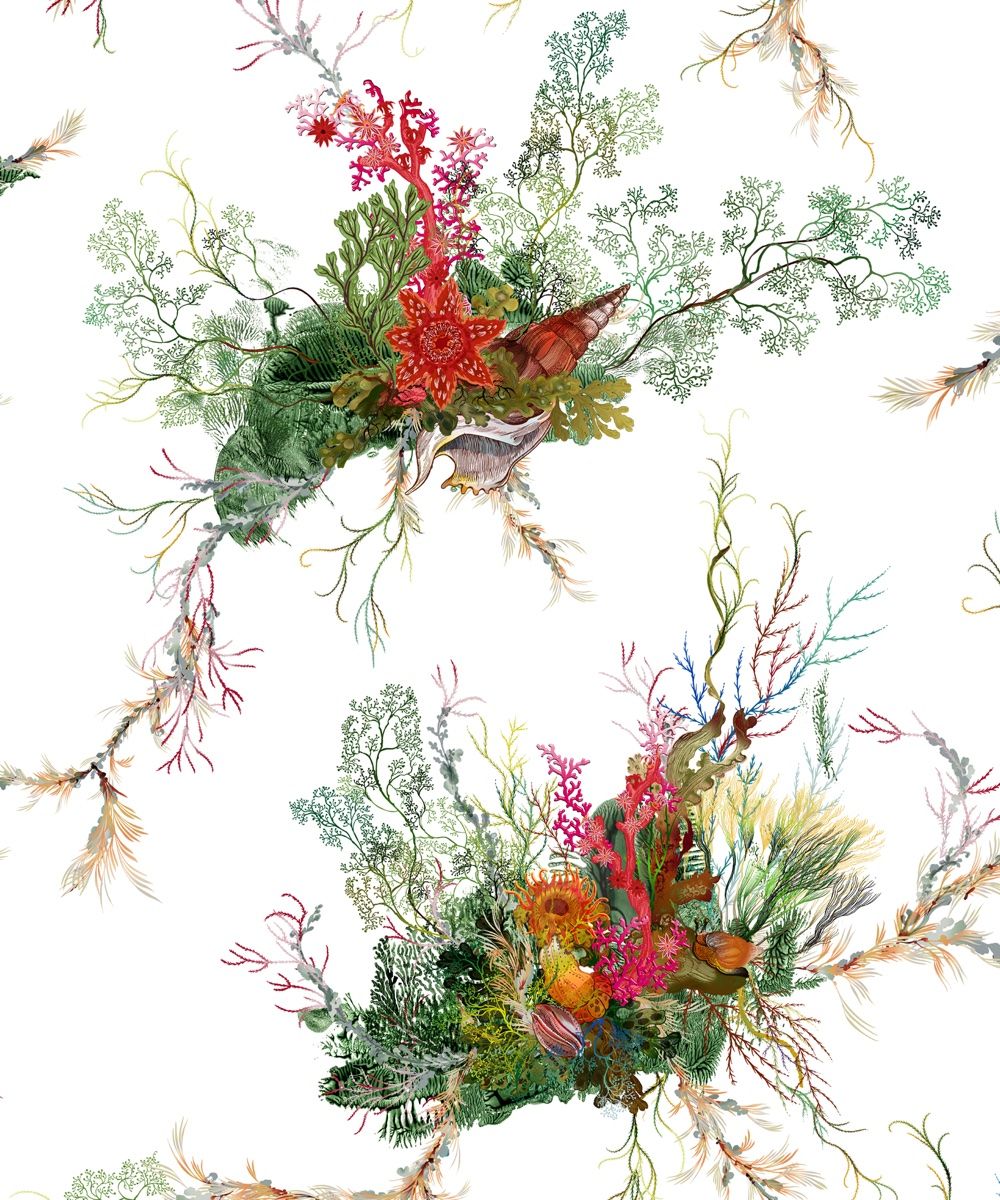 Introducing Oceana The New Timorous Beasties Wallpaper Collection Homes Gardens