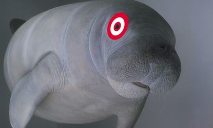 Target 2025 manatee gray