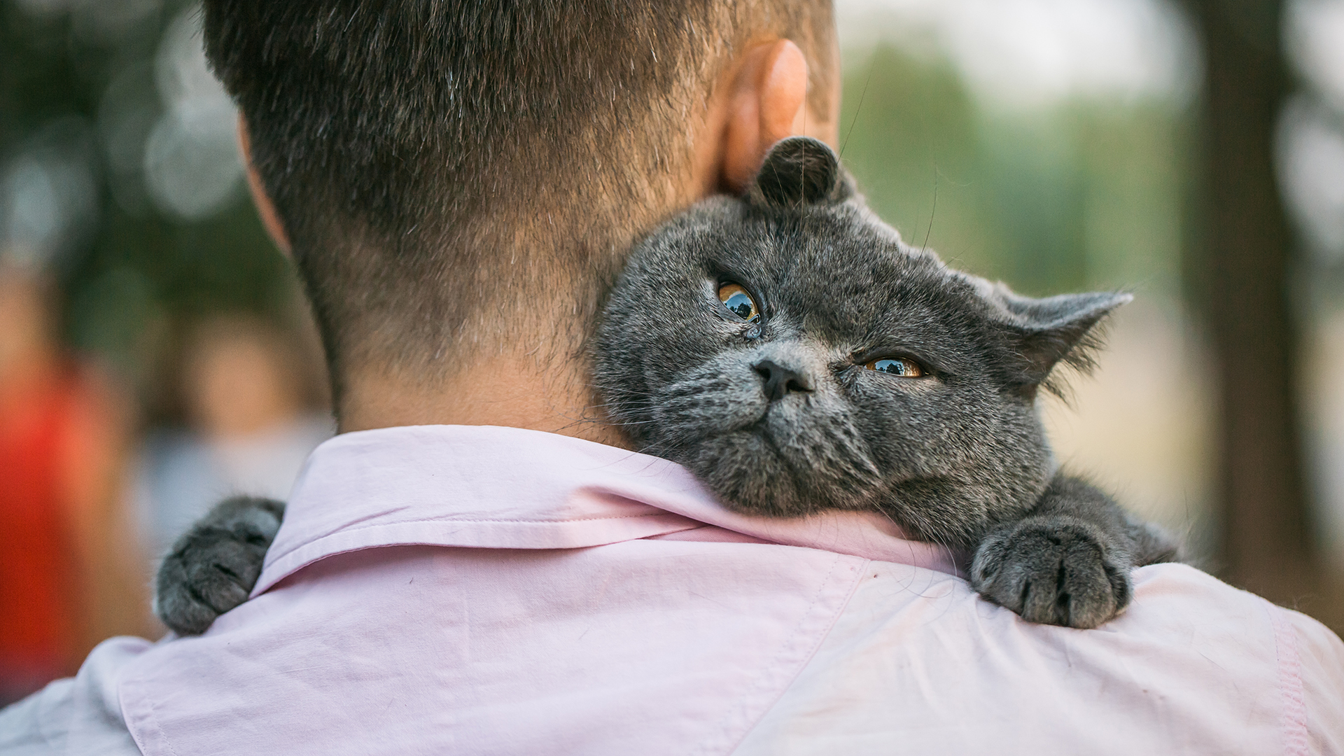 Hey guys: Stop snuggling with your cats (at least in photos) if you want a  date | Live Science