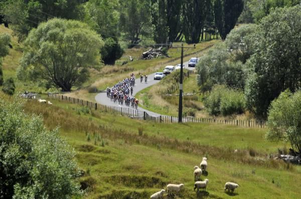 The peloton ride through the green countryside