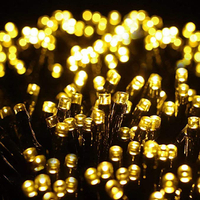 Warm Cluster String Lights, Amazon&nbsp;