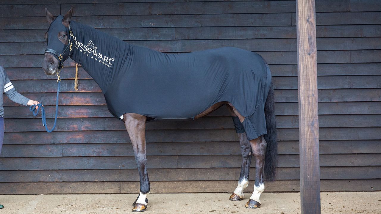 Horseware Rambo Full-body Slinky