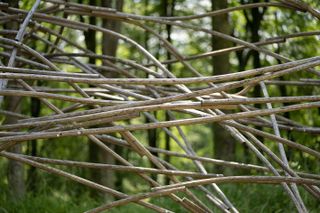 Mesh of natural twigs in nature
