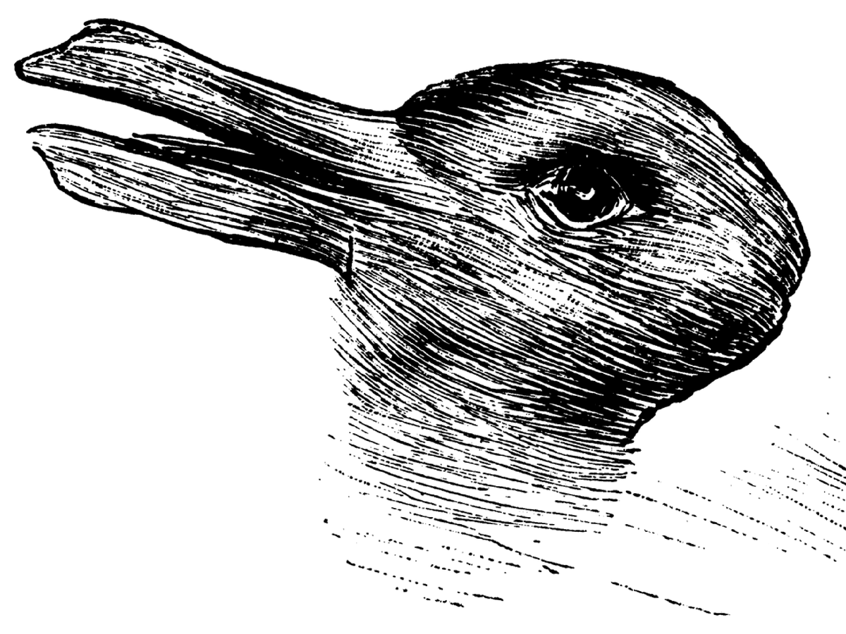 Optical illusions: Duck Rabbit