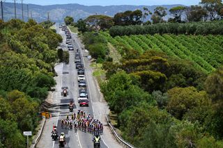 WILLUNGA HILL AUSTRALIA JANUARY 14 A general view of the peloton competing during the 8th Santos Womens Tour Down Under 2024 Stage 3 a 934km stage from Adelaide to Willunga Hill 370m UCIWWT on January 14 2024 in Willunga Hill Australia Photo by Tim de WaeleGetty Images