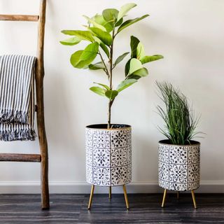 Two indoor potted planters on small legs 