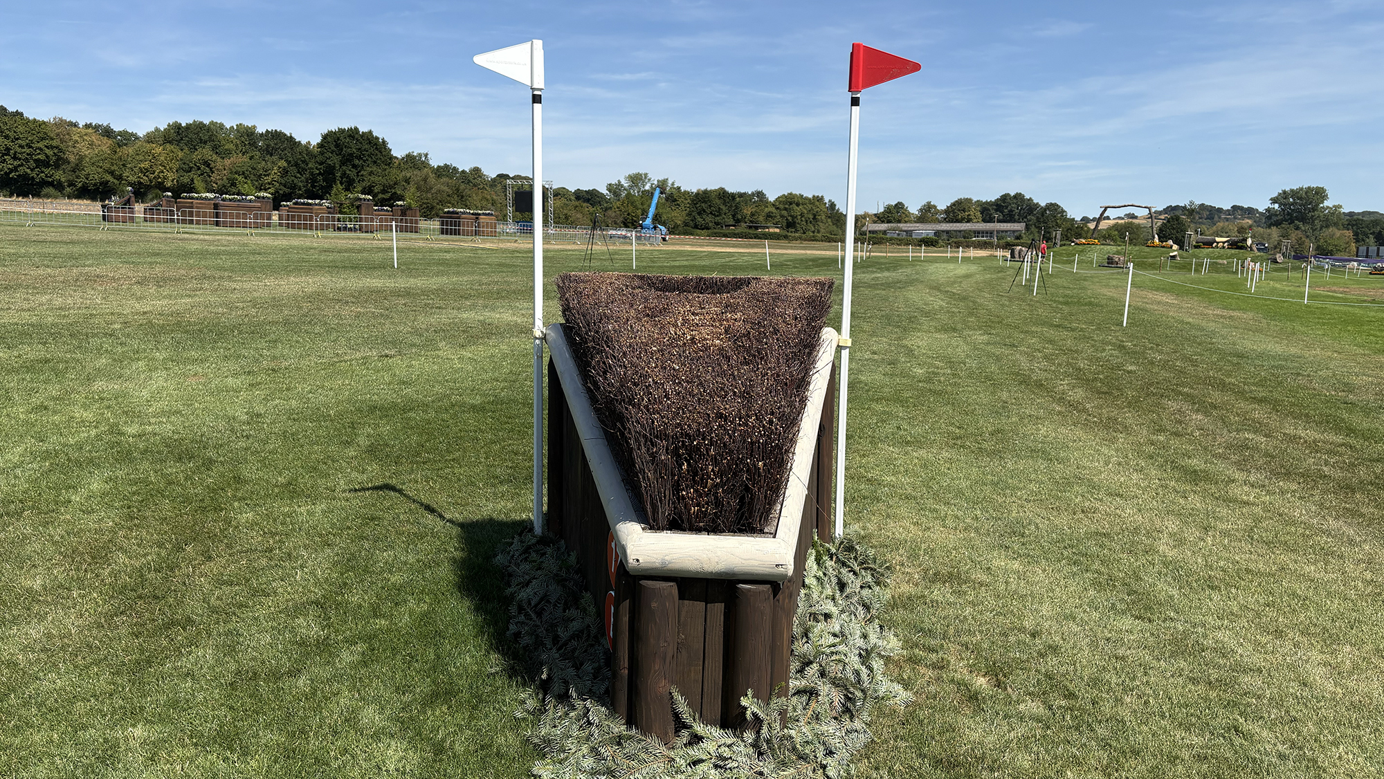 A skinny brush fence on the eventing World Championships cross-country course