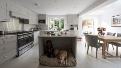 kitchen room with white walls and pet dogs