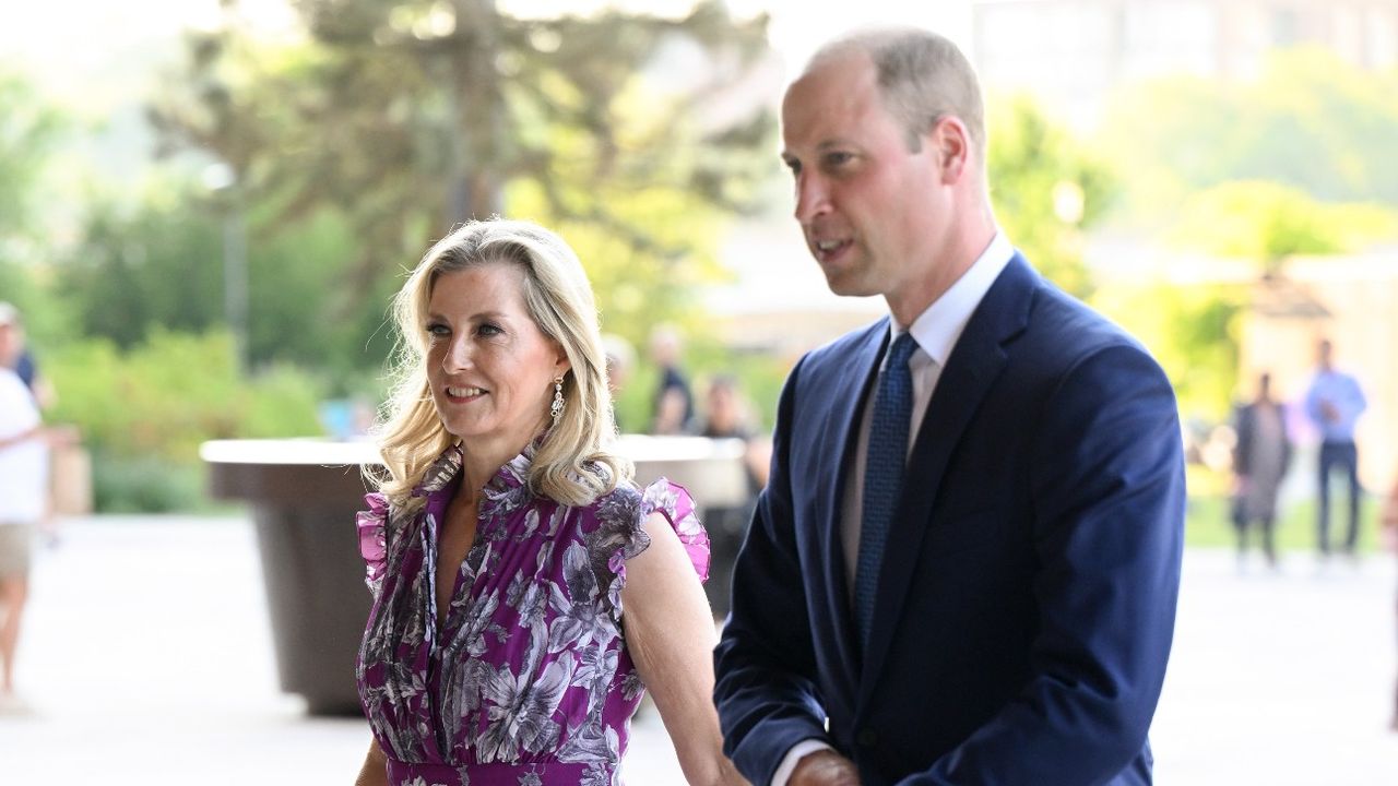 Duchess Sophie showed her &#039;maternal side&#039; with her nephew Prince William at a recent royal engagement at Battersea Power Station