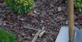 flower bed with wood chip mulch to show how to protect plants in winter