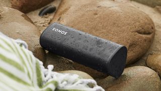 Sonos Roam review: waterproofing