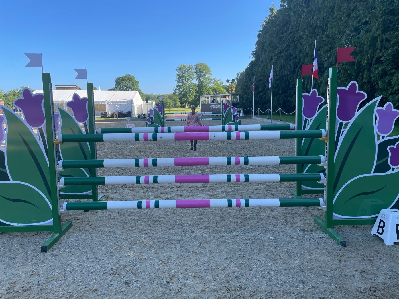 Bicton Horse Trials showjumping
