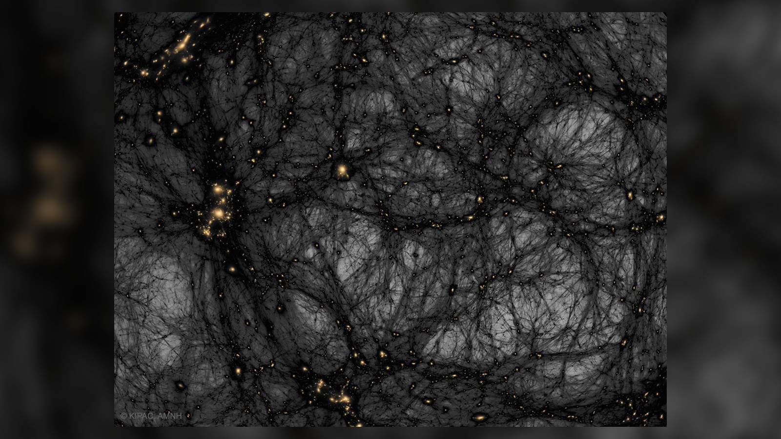 Matière noire dans un univers simulé_Illustration Crédit & Copyright Tom Abel & Ralf Kaehler (KIPAC, SLAC), AMNH