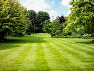 how to mow a lawn: striped lawn