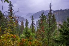 Trees in Coeur d'Alene, Idaho, start to change color in the fall