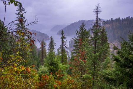 Trees in Coeur d'Alene, Idaho, start to change color in the fall