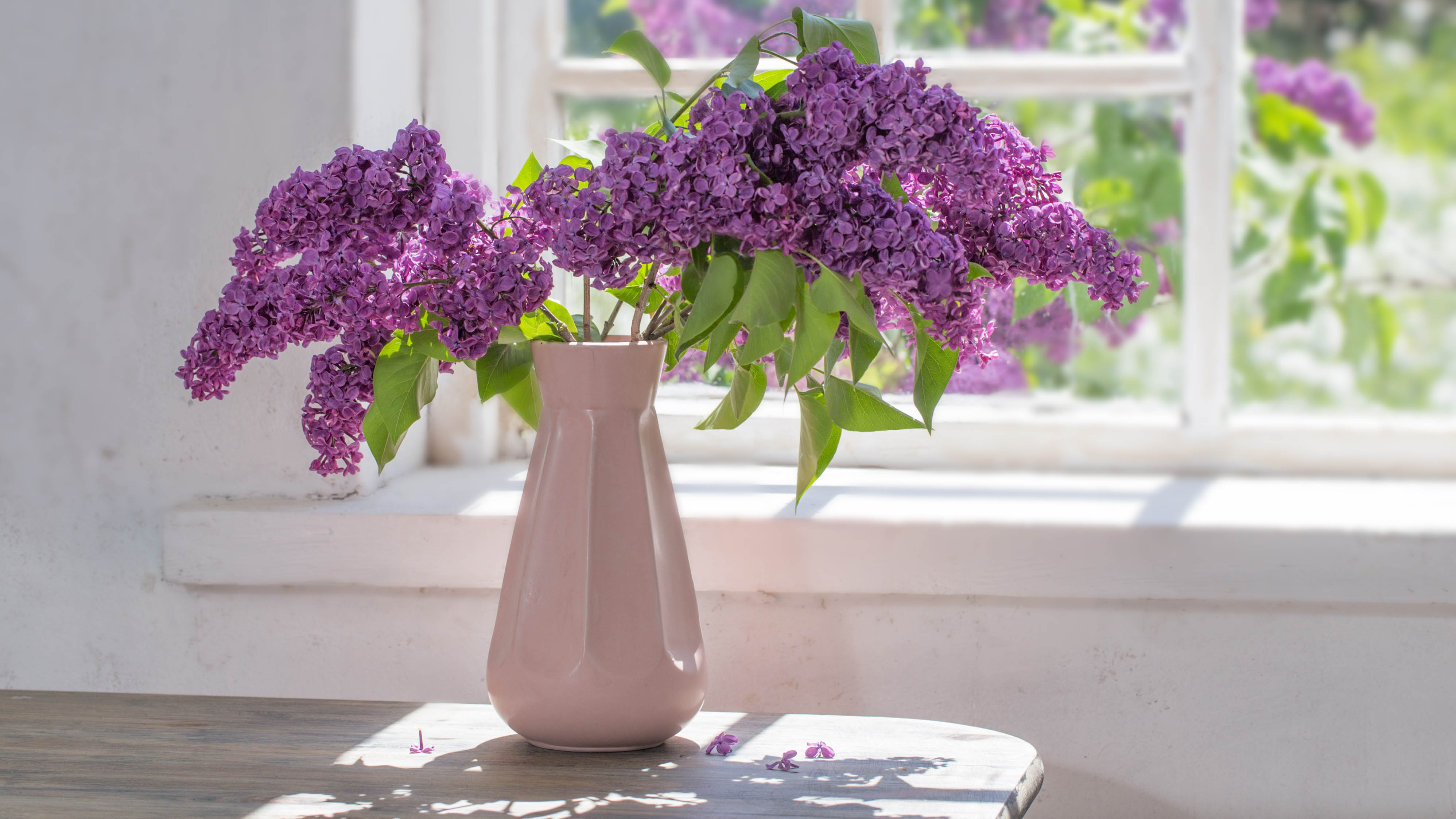 Небольшая ваза с цветами рядом с окном под прямыми солнечными лучами
