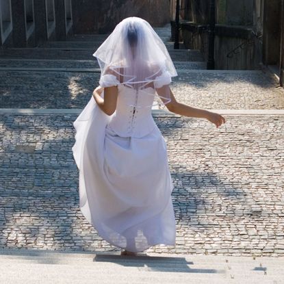 Dress, Textile, Wedding dress, Gown, Street fashion, Veil, Bridal veil, Bride, One-piece garment, Bridal clothing, 
